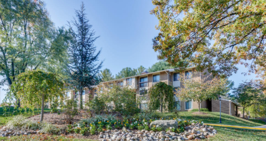 shady-grove-1
